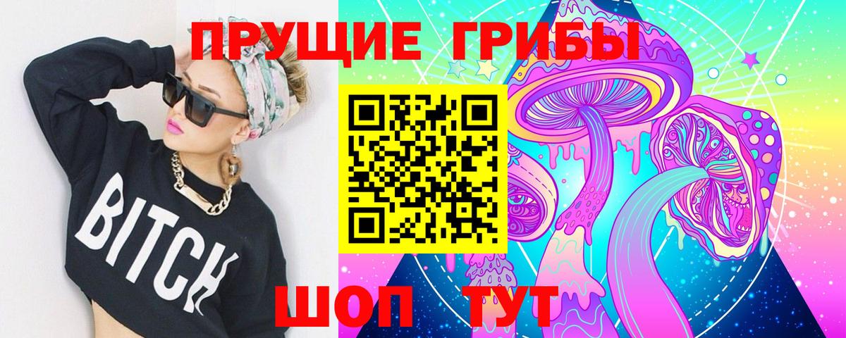 Галлюциногенные грибы GOLDEN TEACHER Выборг