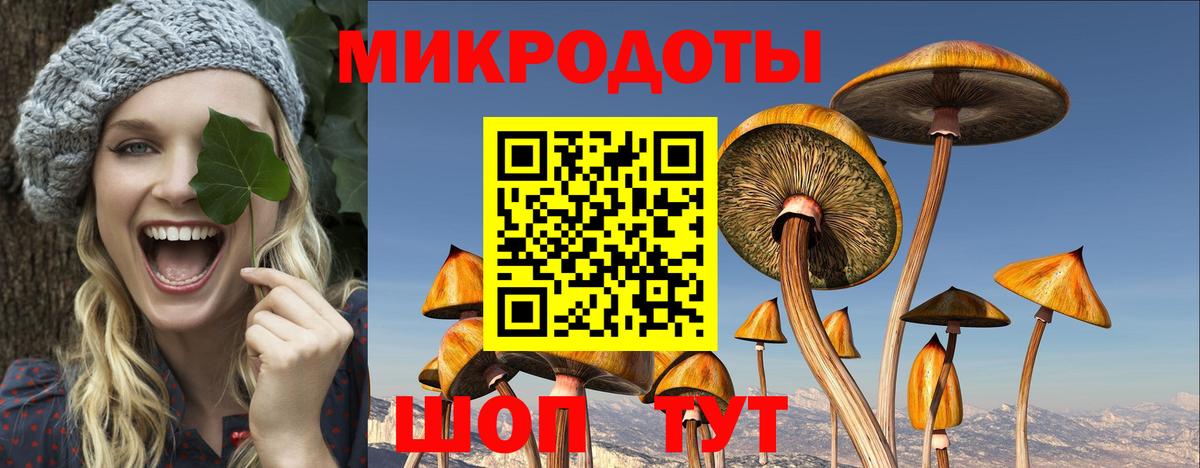 Галлюциногенные грибы прущие грибы  Псилоцибиновые грибы Magic Shrooms  Выборг  Вход с VPN 